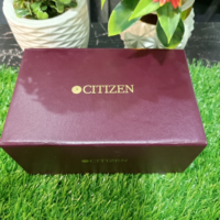 CITIZEN WATCH 01