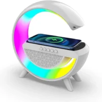 G Shaped Charger 01